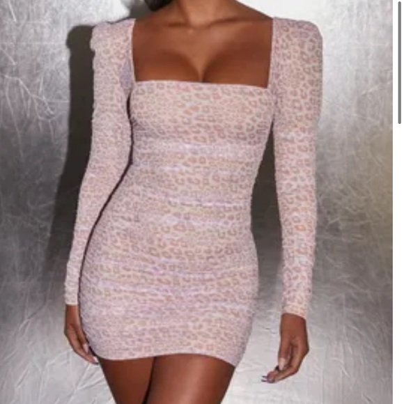 FIERCE LEOPARD PRINT LONG SLEEVE MINI DRESS - Picture 1 of 1